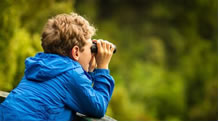 Boy Birding