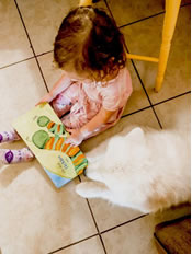 Read to the dogs